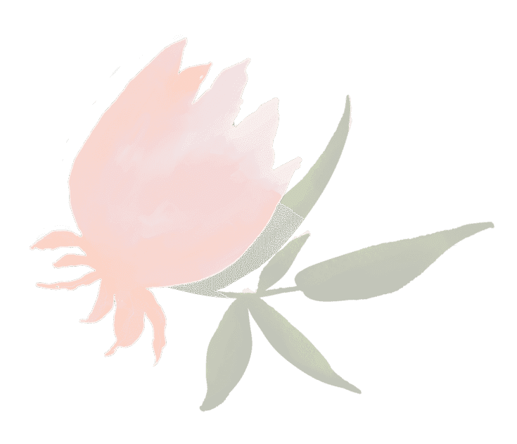 demo-attachment-127-Group-225